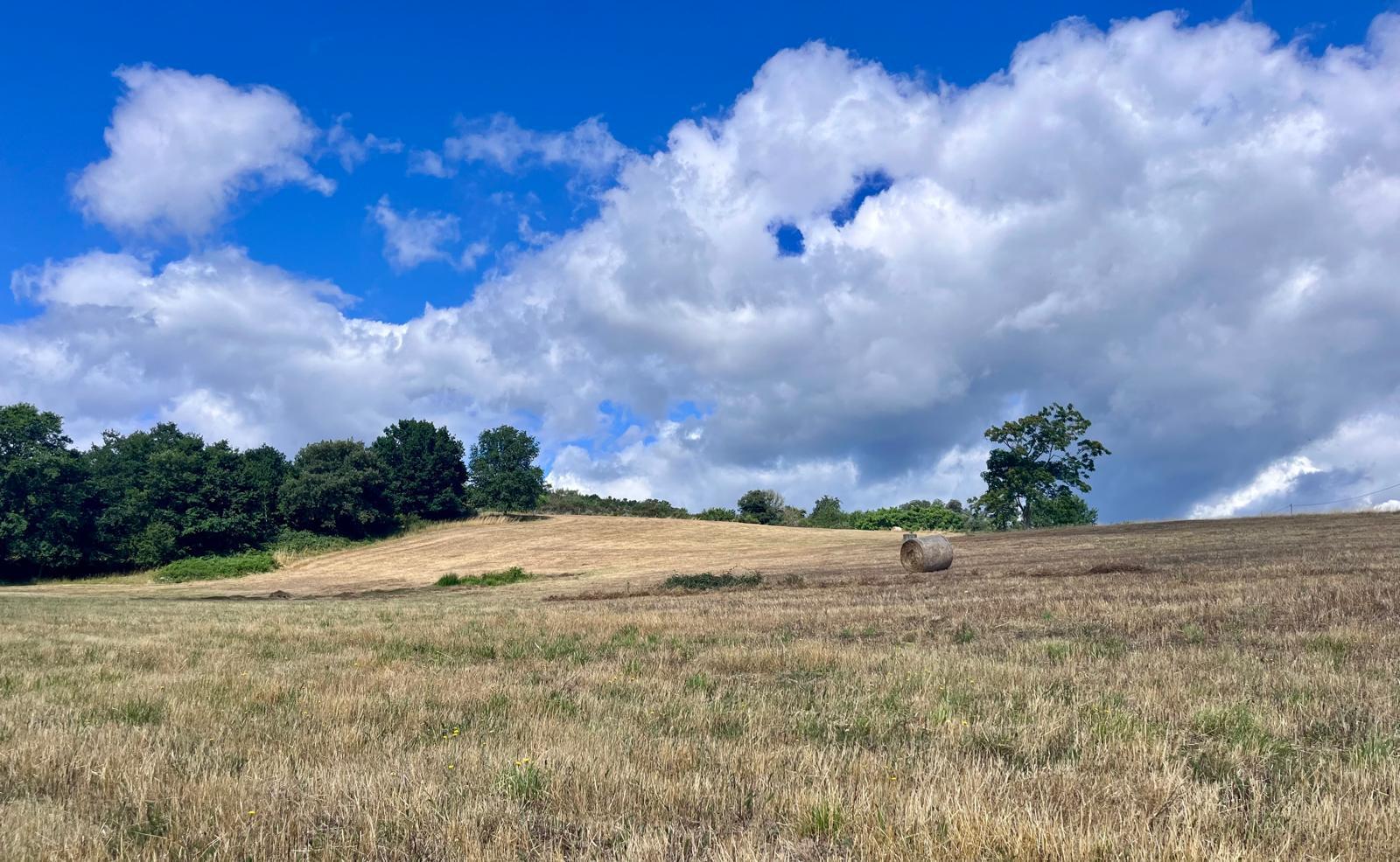 Paisaje abierto bajo un cielo azul