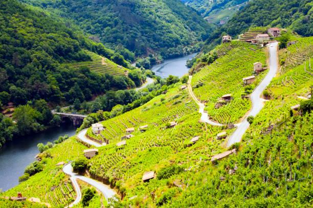 Viñedos de Ribeira Sacra
